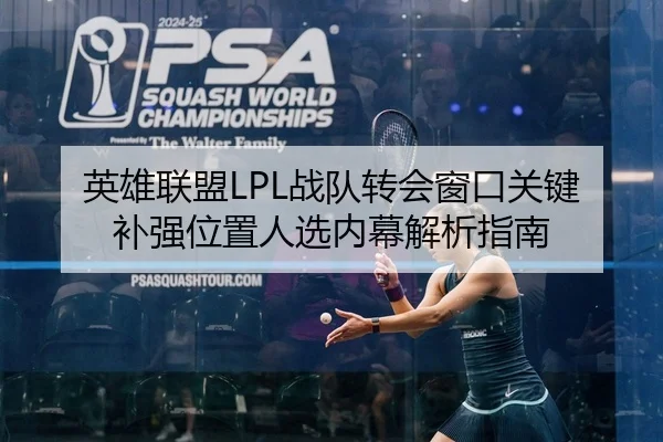 英雄联盟LPL战队转会窗口关键补强位置人选内幕解析指南