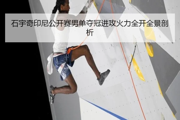 石宇奇印尼公开赛男单夺冠进攻火力全开全景剖析